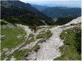 Planina Podvežak - Kocbekov dom na Korošici